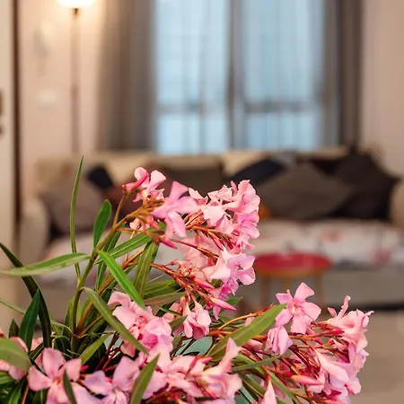 Tra Colline Marchigiane - Sauna E Piscina Villa *